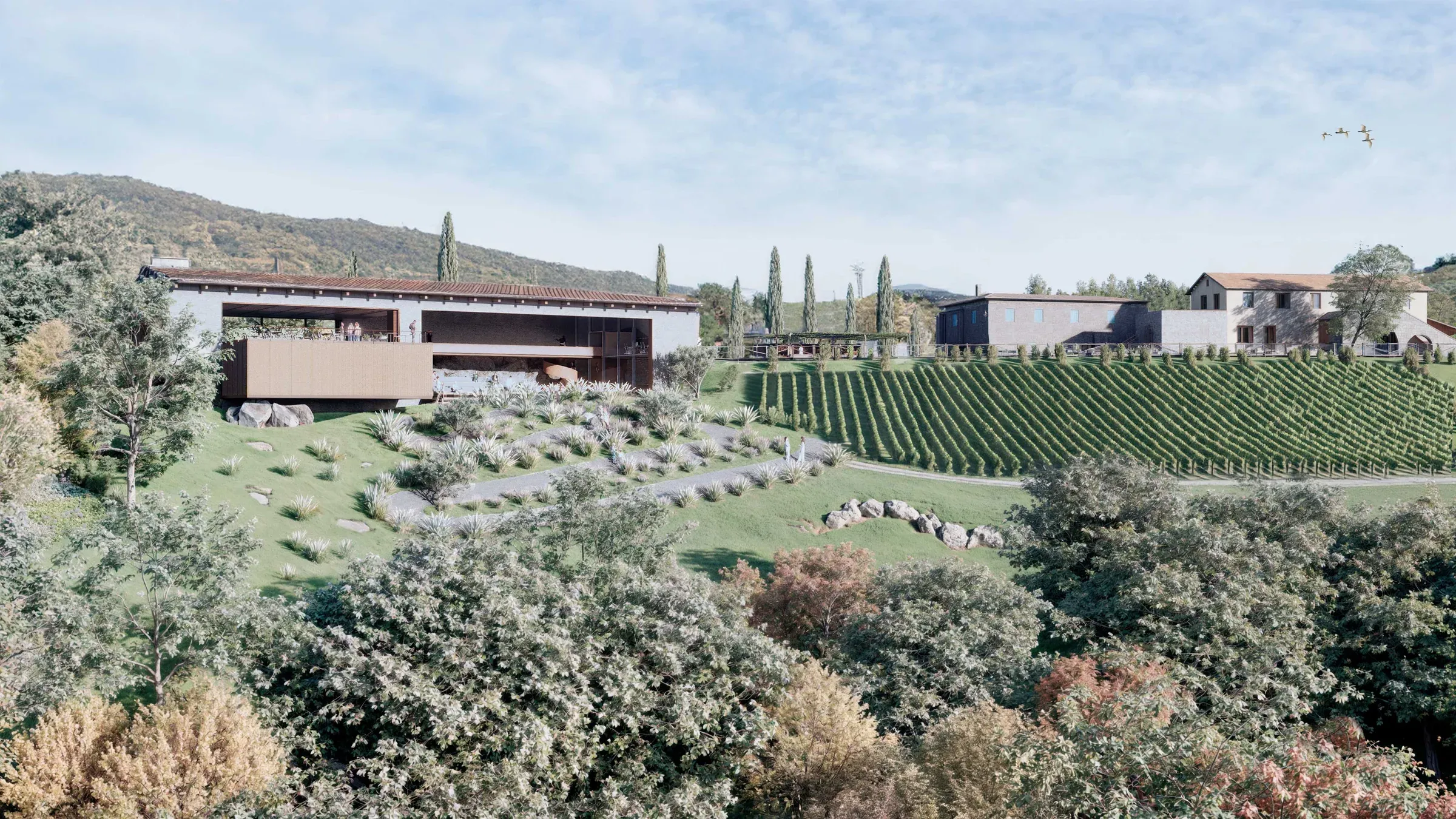 Cultural Winery, imagen 14